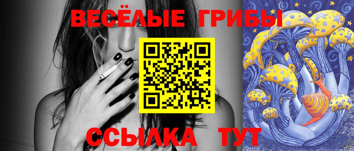 Псилоцибиновые грибы прущие грибы  Вход с VPN  Сертолово  Галлюциногенные грибы Magic Shrooms 