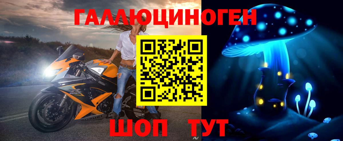 Галлюциногенные грибы прущие грибы Сертолово